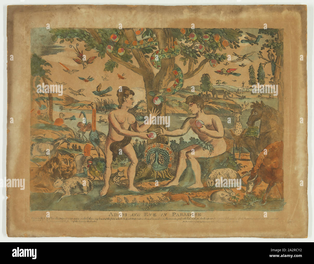 Adamo ed Eva nel Paradiso, 1815, incisione stampate in bianco e nero, colorati a mano, immagine: 13 1/8 x 18 1/8 in Foto Stock