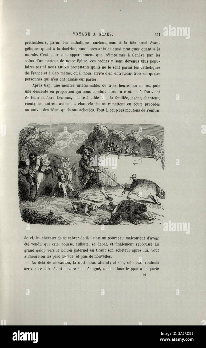 Dopo il Gap, disturbato gli animali su strada a Gap, dato stimato, p. 441 567, Toepffer, Rodolphe (d'apres), Rodolphe Töpffer: Nouveaux Voyages en zigzag à la Grande-Chartreuse, Autour du Mont Blanc, dans les vallées d'Hérens, de Zermatt, au Grimsel, à Gênes et à la Corniche. Éd. 5. Parigi. Garnier, 1886 Foto Stock