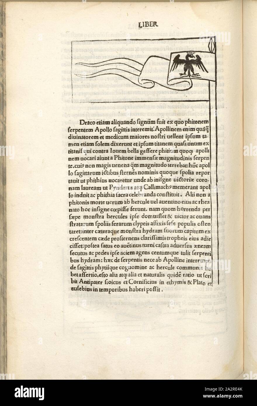 Bandiera pole con eagle stemma, la guerra nel Medioevo, truppa bandiera con un'aquila, xilografia, p. 382, (Liber decimus), 1483, Roberto Valturio: [De re militari]. Verona: [Boninus de Boninis], [1483 Foto Stock