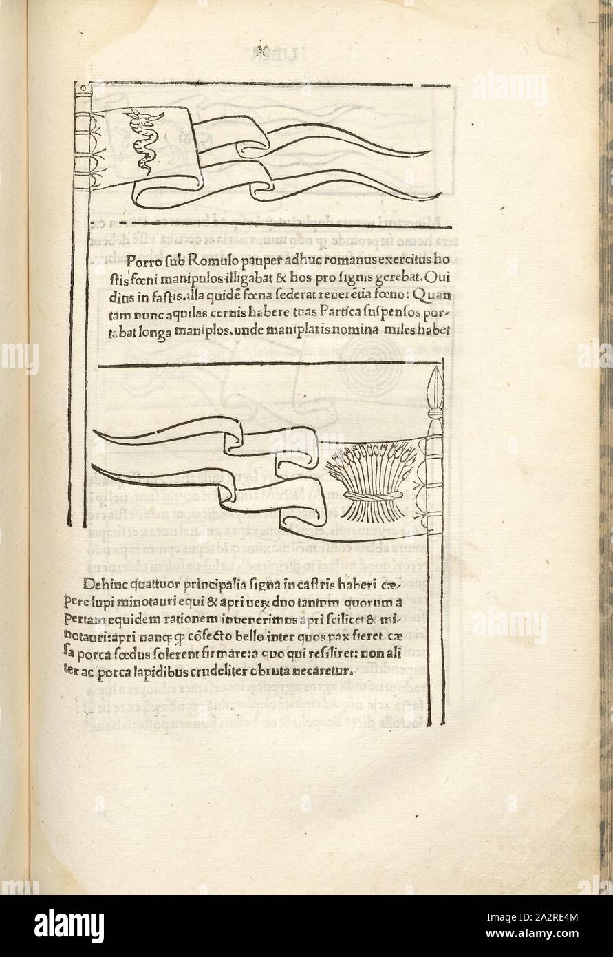 Le truppe di vari eserciti di guerra 1, la guerra nel Medioevo, sopra: truppa con un drago, di seguito: truppa con un mazzetto di spighe di grano, xilografia, S. 383, (Liber decimus), 1483, Roberto Valturio: [De re militari]. Verona: [Boninus de Boninis], [1483 Foto Stock