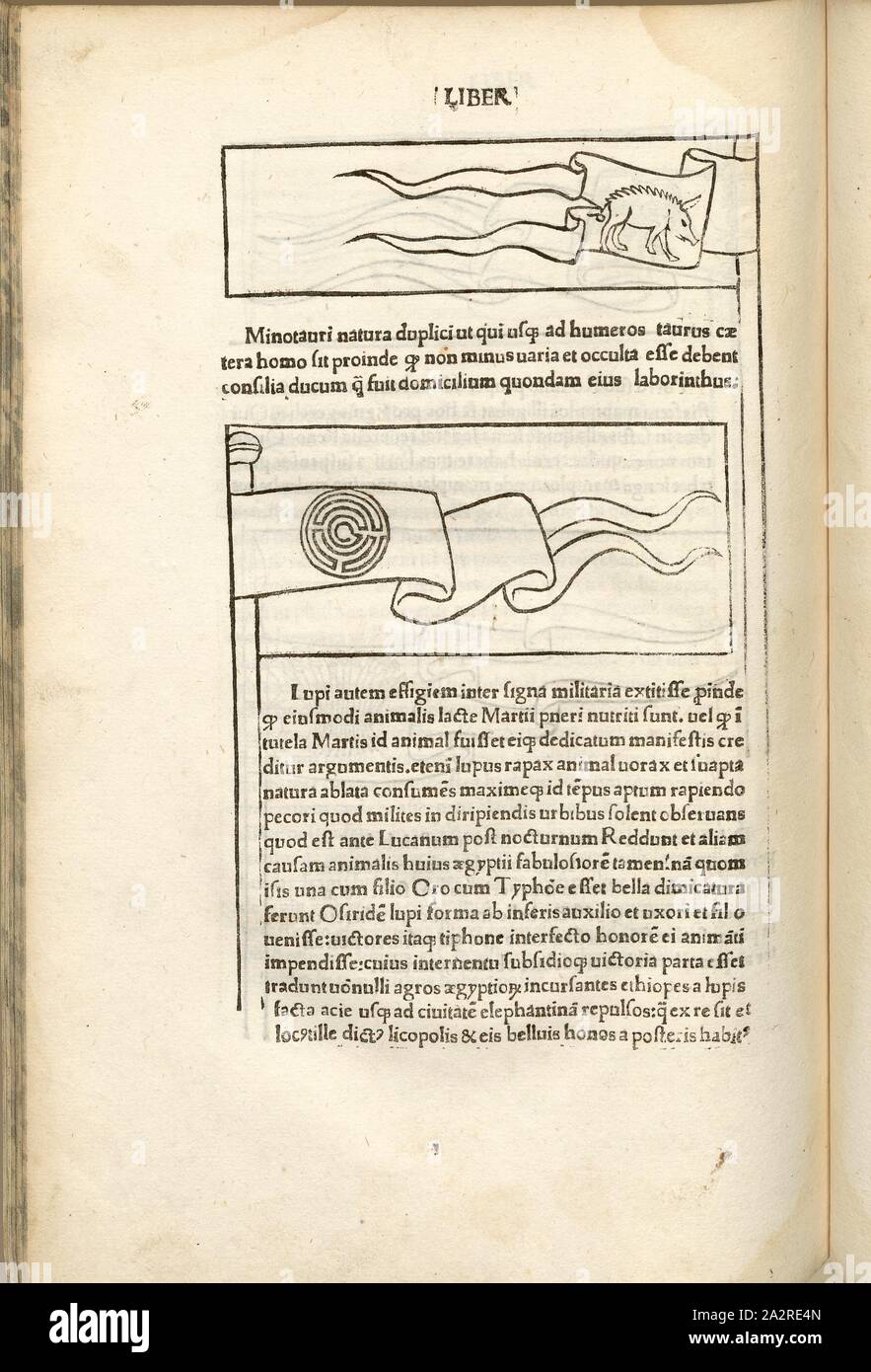 Le truppe di vari eserciti di guerra 2, la guerra nel Medioevo, sopra: truppa con un cinghiale, di seguito: truppa con un labirinto, xilografia, S. 384, (Liber decimus), 1483, Roberto Valturio: [De re militari]. Verona: [Boninus de Boninis], [1483 Foto Stock