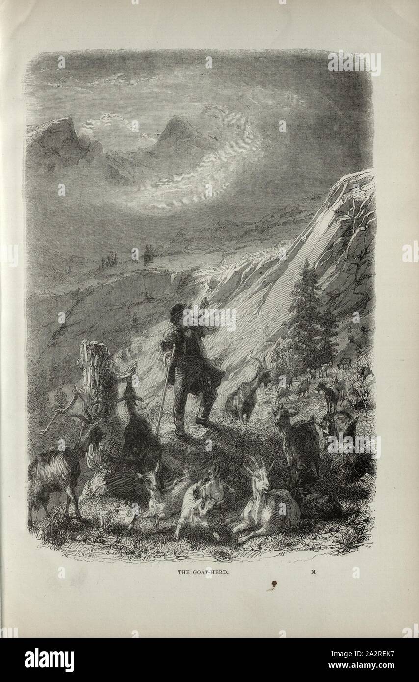 Te capra-allevamento, capra herder sull'Alp, p. 161, Charles Williams, Alpi, Svizzera e nord Italia. Londra: Cassell, 1854 Foto Stock