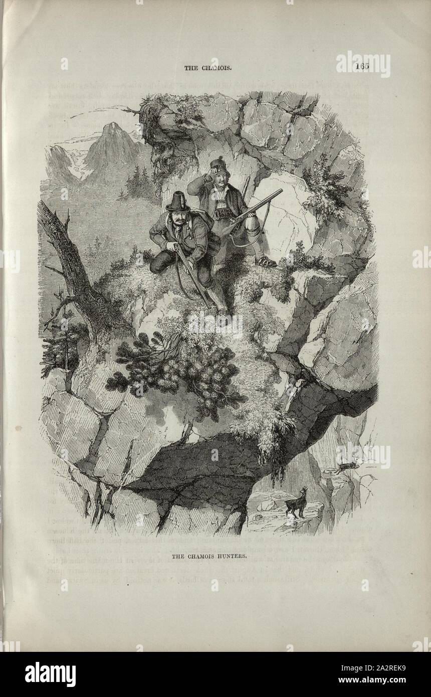 Il camoscio cacciatori, cacciatore comune in montagna, p. 165, Charles Williams, Alpi, Svizzera e nord Italia. Londra: Cassell, 1854 Foto Stock