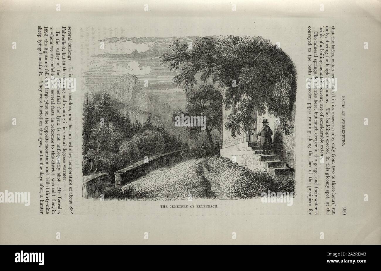 Il cimitero di Erlenbach, vista dal cimitero di Erlenbach in montagna, p. 229, Charles Williams, Alpi, Svizzera e nord Italia. Londra: Cassell, 1854 Foto Stock