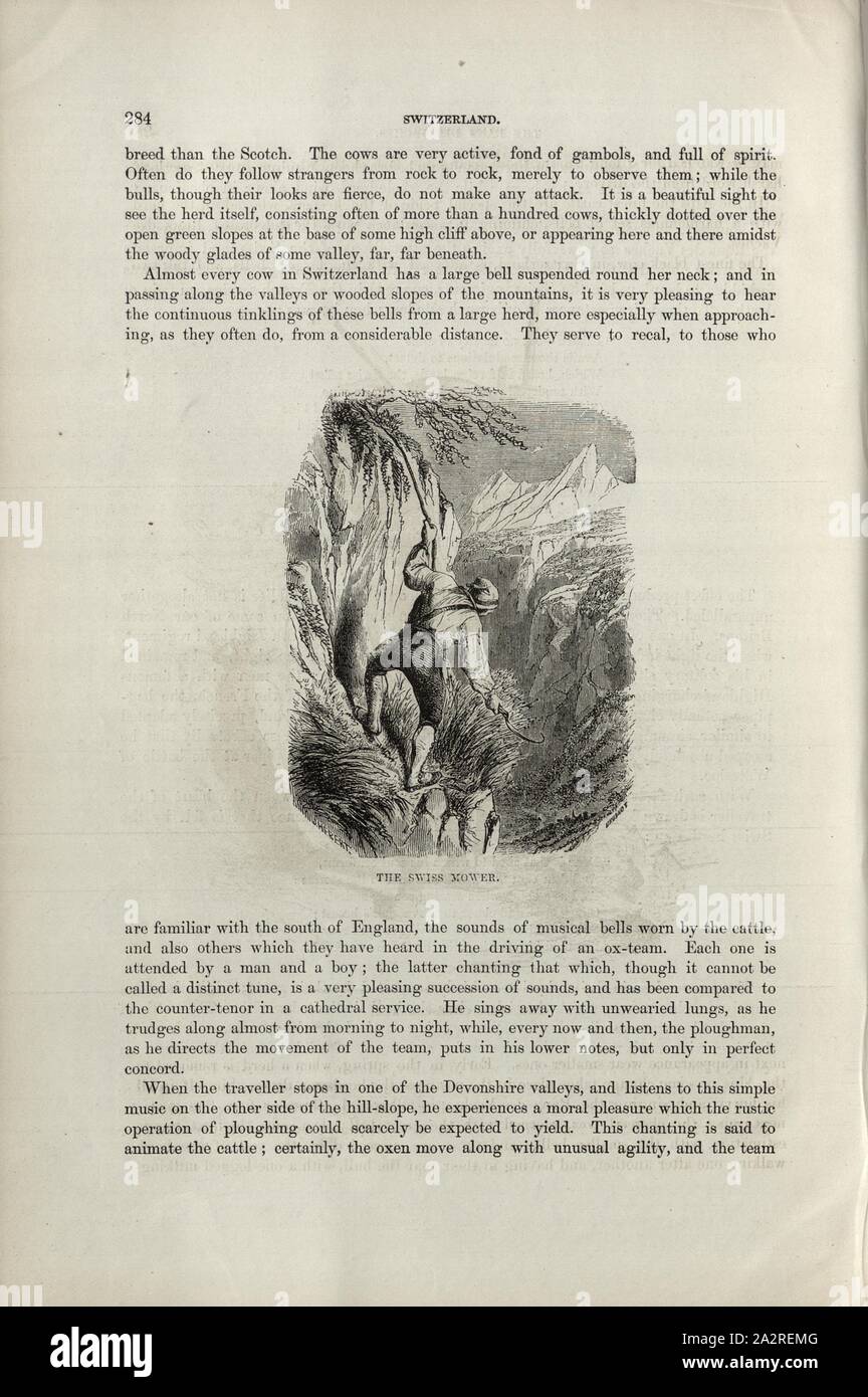 La falciatrice svizzero, Cinghiale in montagna, firmato: Brugnot, p. 284, Brugnot, Louis Charles Williams, Alpi, Svizzera e nord Italia. Londra: Cassell, 1854 Foto Stock