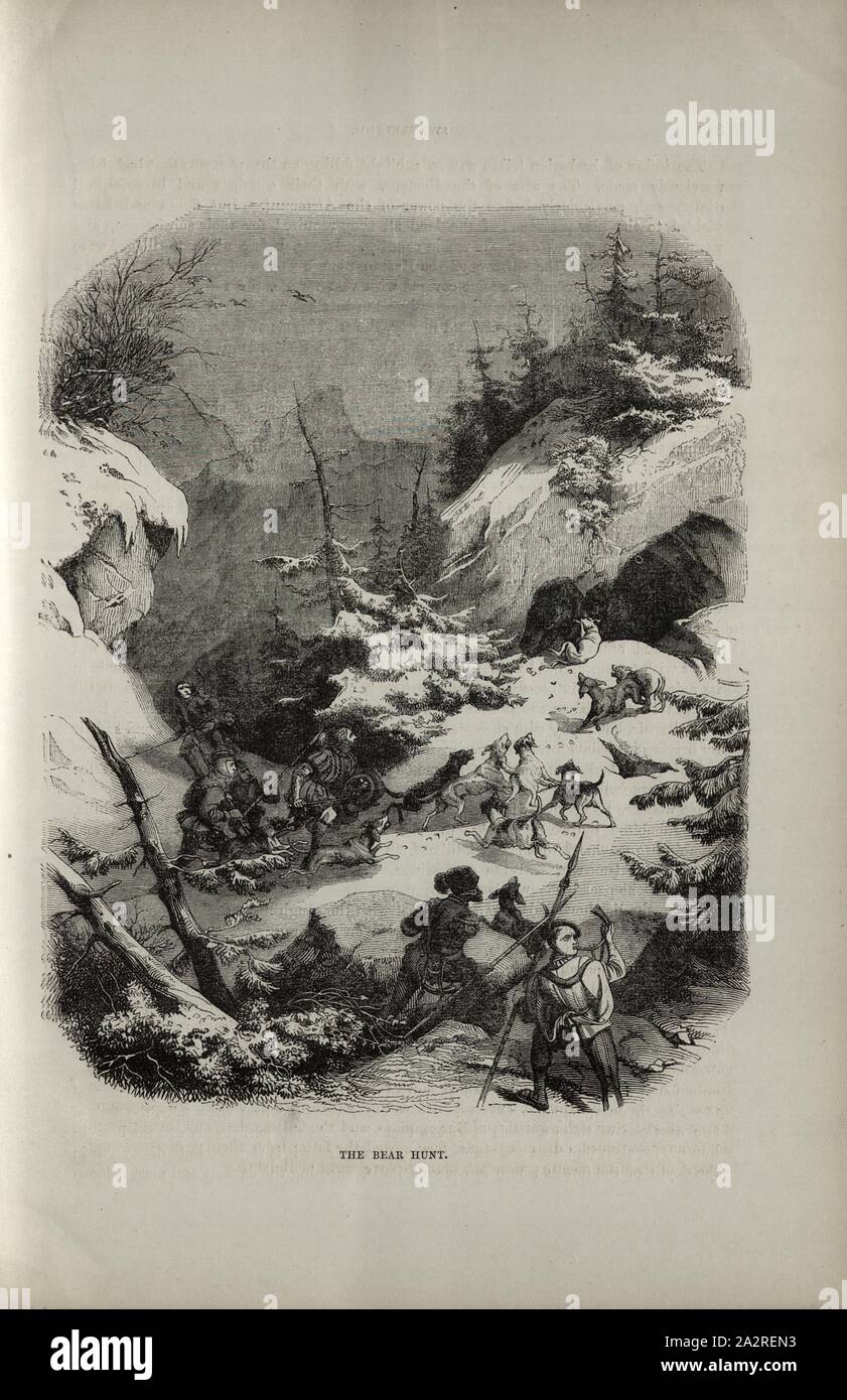 L'orso hunt, portano la caccia, p. 329, 1854, Charles Williams, Alpi, Svizzera e nord Italia. Londra: Cassell, 1854 Foto Stock
