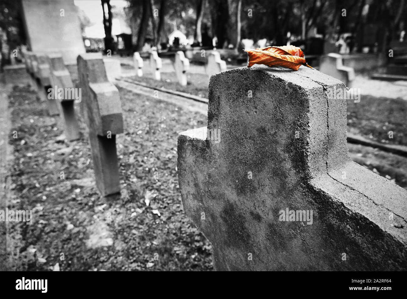 Giallo autunno caduto foglie sulla guerra mondiale 1 hero oggetto contrassegnato per la rimozione definitiva Foto Stock