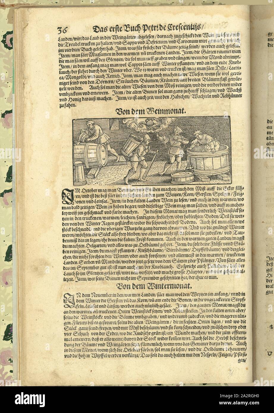 Dal mese di vino, presentazione di miscelatura e pressatura, Fig. 1, p. 36, 1583, Petrus de Crescentiis: Nuovo Feldt und Accurbaw: ordentlich darinnen begriffen wie mann auß rechtem Grund der Natur auch langwiriger erfahrung in 15. Bücher beschrieben welcher gestalt jedes Landgut bevorab der Acker und der Fruchtfeldt Landsart gelegenheit bey rechter zeit auffs beste zubestellen und mit allerhand Feldarbeit recht zuversorgen. [Franckfurt am Mayn]: [Schmid], [1583 Foto Stock