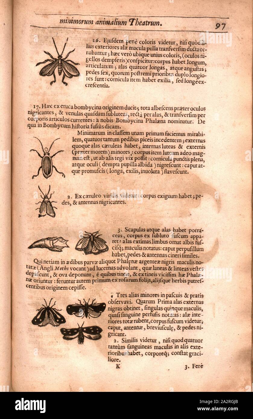 Papilio 9, falena farfalle, p. 97, 1634, Thomas Moffet, Edward Wotton, Konrad Gessner, Thomas Penny: Insectorum sive minimorum animalium theatrum: olim ab Edoardo Wottono. Conrado Gesnero. Thomaque Pennio inchoatum: tandem Tho. Moufeti Londinatis opera sumptibusque maximis concinnatum auctum, perfectum [...]. Londini: ex officina typographica Thom. Cotes et venales extant apud Guiliel. La speranza, ad insigne chirothecae, prope regium excambium, 1634 Foto Stock