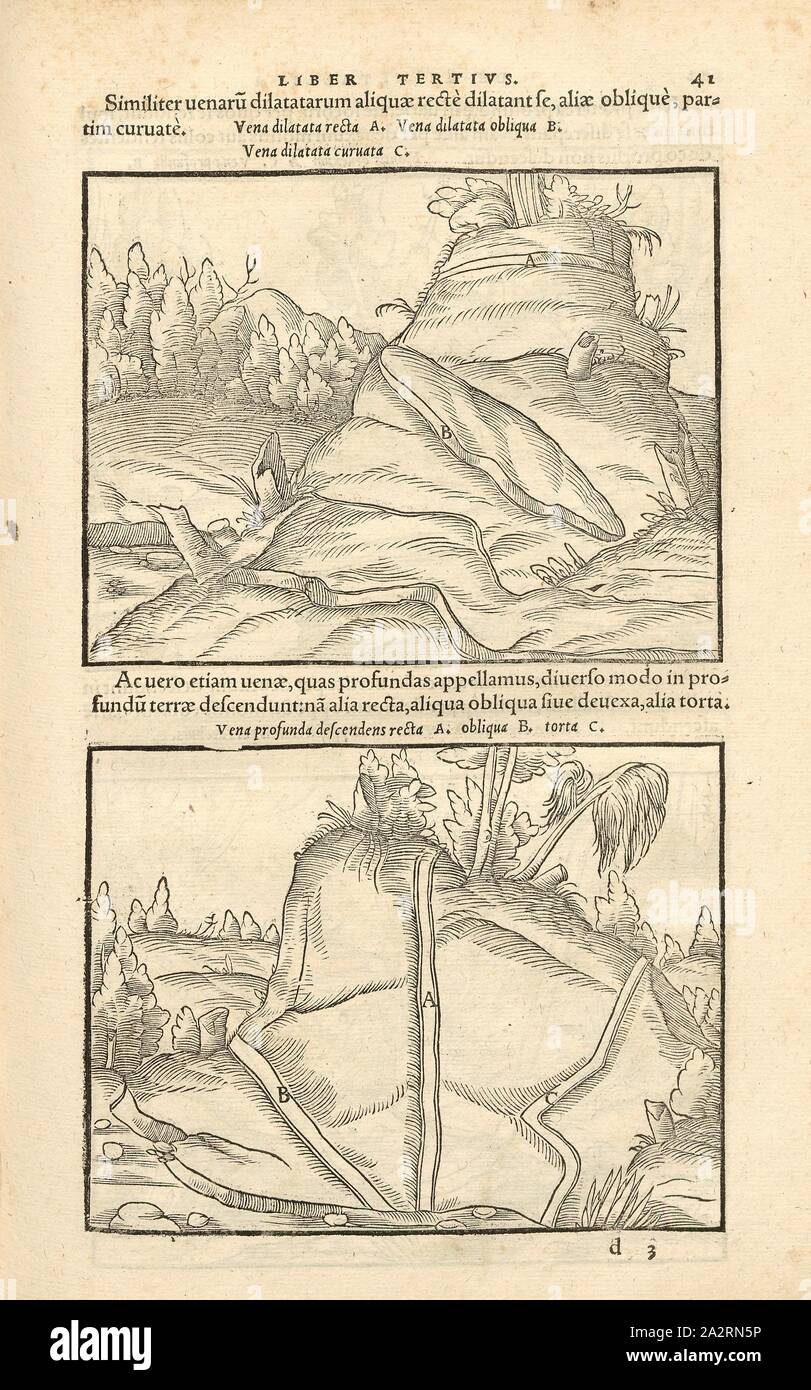 Forme di dighe 2, tettonica, dritto, indiretta e roccia curvo di crepacci e dighe, xilografia, p. 41, (Liber tertius), Manuel, Hans Rudolf (graveur sur bois), 1556, Georgius Agricola: De re metallica libri XII: quibus officia, instrumenta, machinae, ac omnia denique ad metallicam spectantia, non modo luculentissime describuntur, sed & per le effigi (...). Basileae: [Froben], 1556 Foto Stock