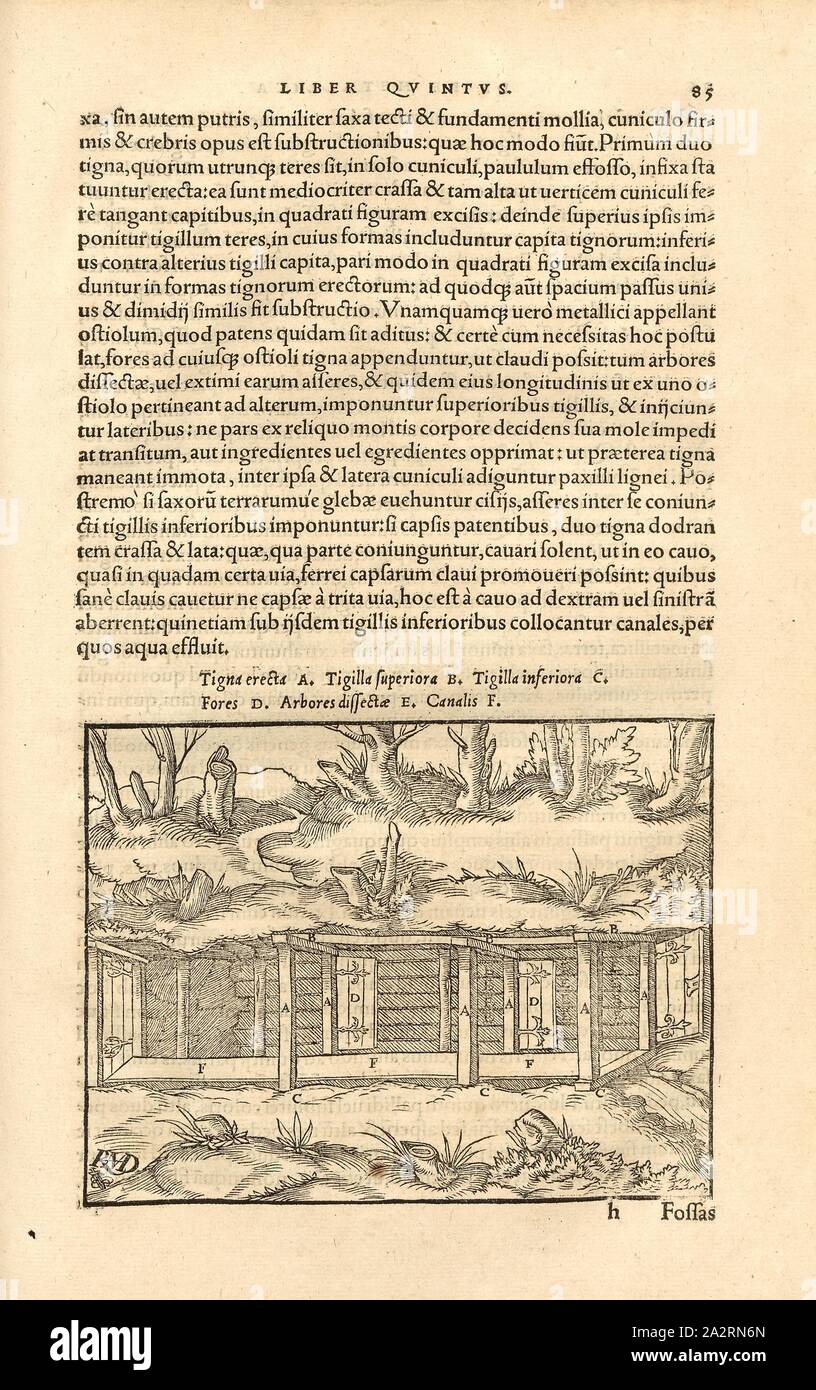 Uso di pitwood per la stabilizzazione, uso di pitwood per stabilizzare una buca nella miniera, vari elementi di supporto della struttura di legname, firmato: RMD, xilografia, p. 85, (Liber quintus), Manuel, Hans Rudolf (graveur sur bois), 1556, Georgius Agricola: De re metallica libri XII: quibus officia, instrumenta, machinae, ac omnia denique ad metallicam spectantia, non modo luculentissime describuntur, sed & per le effigi (...). Basileae: [Froben], 1556 Foto Stock