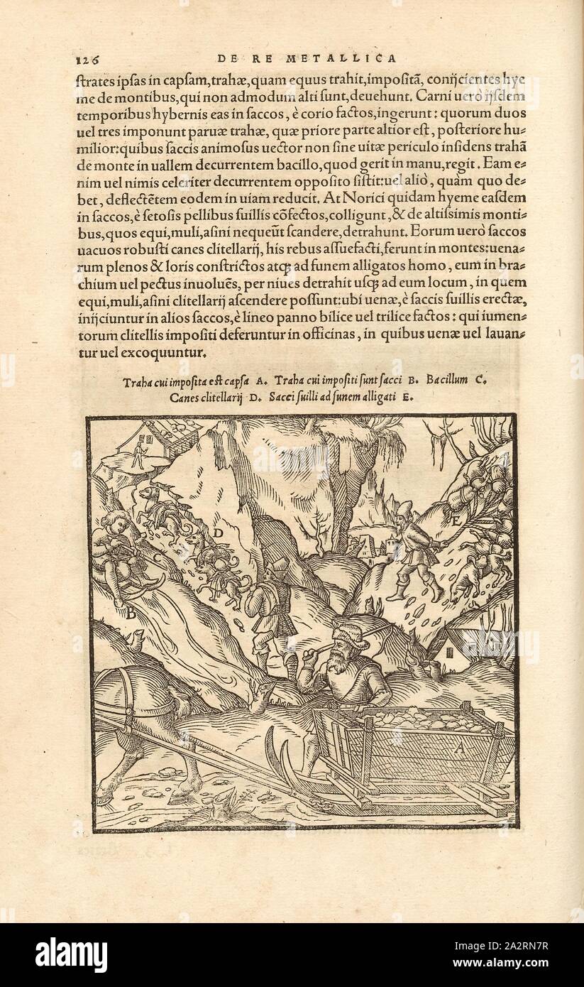 Uso degli animali nel settore minerario, Cavalli, capre, cani come il carico e il trasporto di animali nel settore minerario, xilografia, p. 126, (Liber sisto), Manuel, Hans Rudolf (graveur sur bois), 1556, Georgius Agricola: De re metallica libri XII: quibus officia, instrumenta, machinae, ac omnia denique ad metallicam spectantia, non modo luculentissime describuntur, sed & per le effigi (...). Basileae: [Froben], 1556 Foto Stock