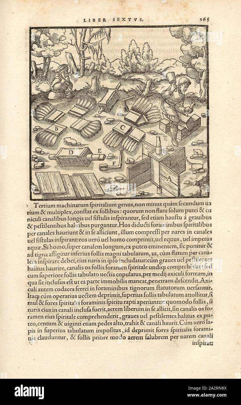 Varie pale per turbine eoliche / pale di rotore, i diversi tipi di alette di Mulino a vento, le pale del rotore e dei componenti di una girandola, Xilografia, p. 165, (Liber primus), Manuel, Hans Rudolf (graveur sur bois), 1556, Georgius Agricola: De re metallica libri XII: quibus officia, instrumenta, machinae, ac omnia denique ad metallicam spectantia, non modo luculentissime describuntur, sed & per le effigi (...). Basileae: [Froben], 1556 Foto Stock