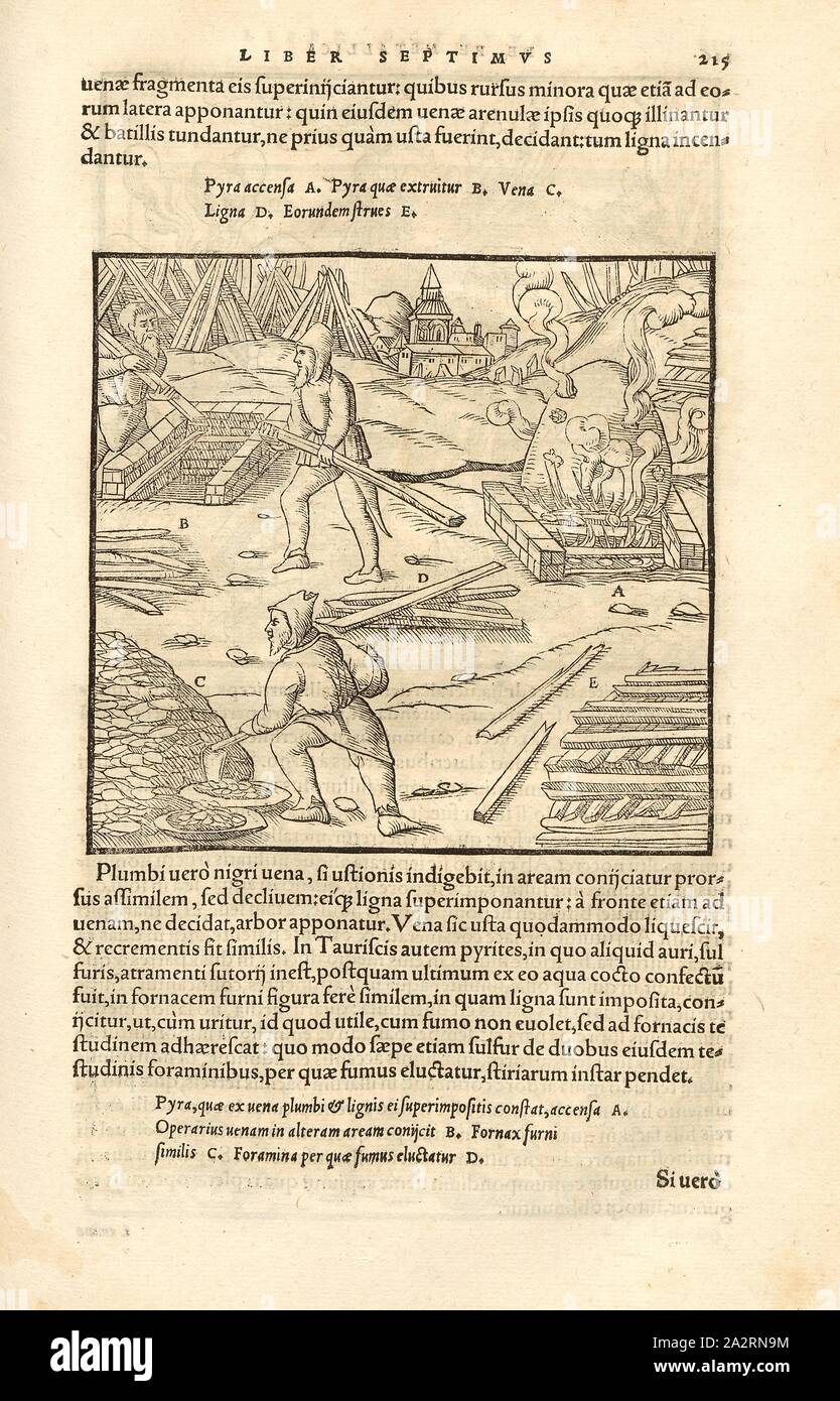 Tostare i minerali 3, la preparazione e la costruzione del woodpile per la tostatura stick, xilografia, p. 215, (Liber octavus), Manuel, Hans Rudolf (graveur sur bois), 1556, Georgius Agricola: De re metallica libri XII: quibus officia, instrumenta, machinae, ac omnia denique ad metallicam spectantia, non modo luculentissime describuntur, sed & per le effigi (...). Basileae: [Froben], 1556 Foto Stock