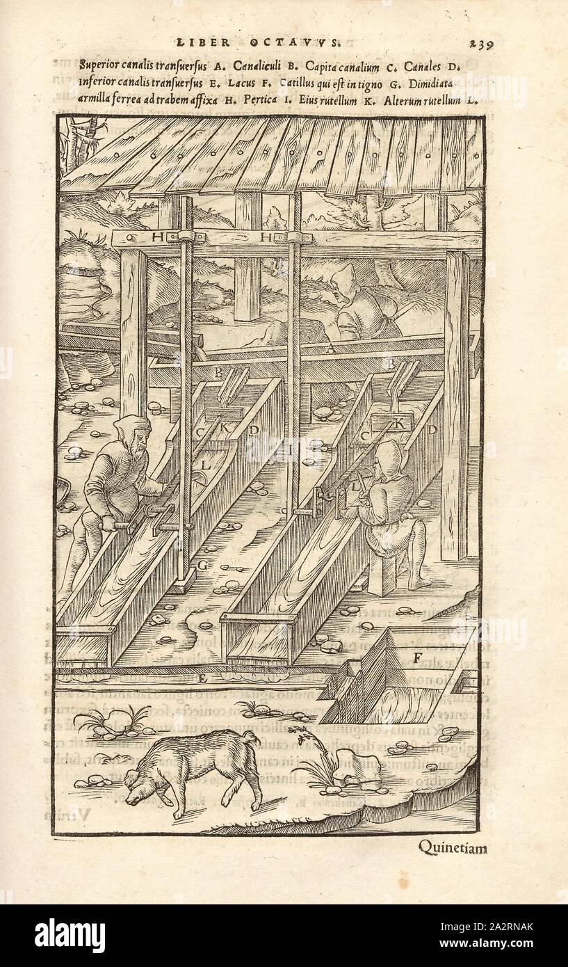 Schlämmgraben 2, fanghi fossati espanso con elementi meccanici pressato dal depuratore, Xilografia, p. 239, (Liber octavus), Manuel, Hans Rudolf (graveur sur bois), 1556, Georgius Agricola: De re metallica libri XII: quibus officia, instrumenta, machinae, ac omnia denique ad metallicam spectantia, non modo luculentissime describuntur, sed & per le effigi (...). Basileae: [Froben], 1556 Foto Stock