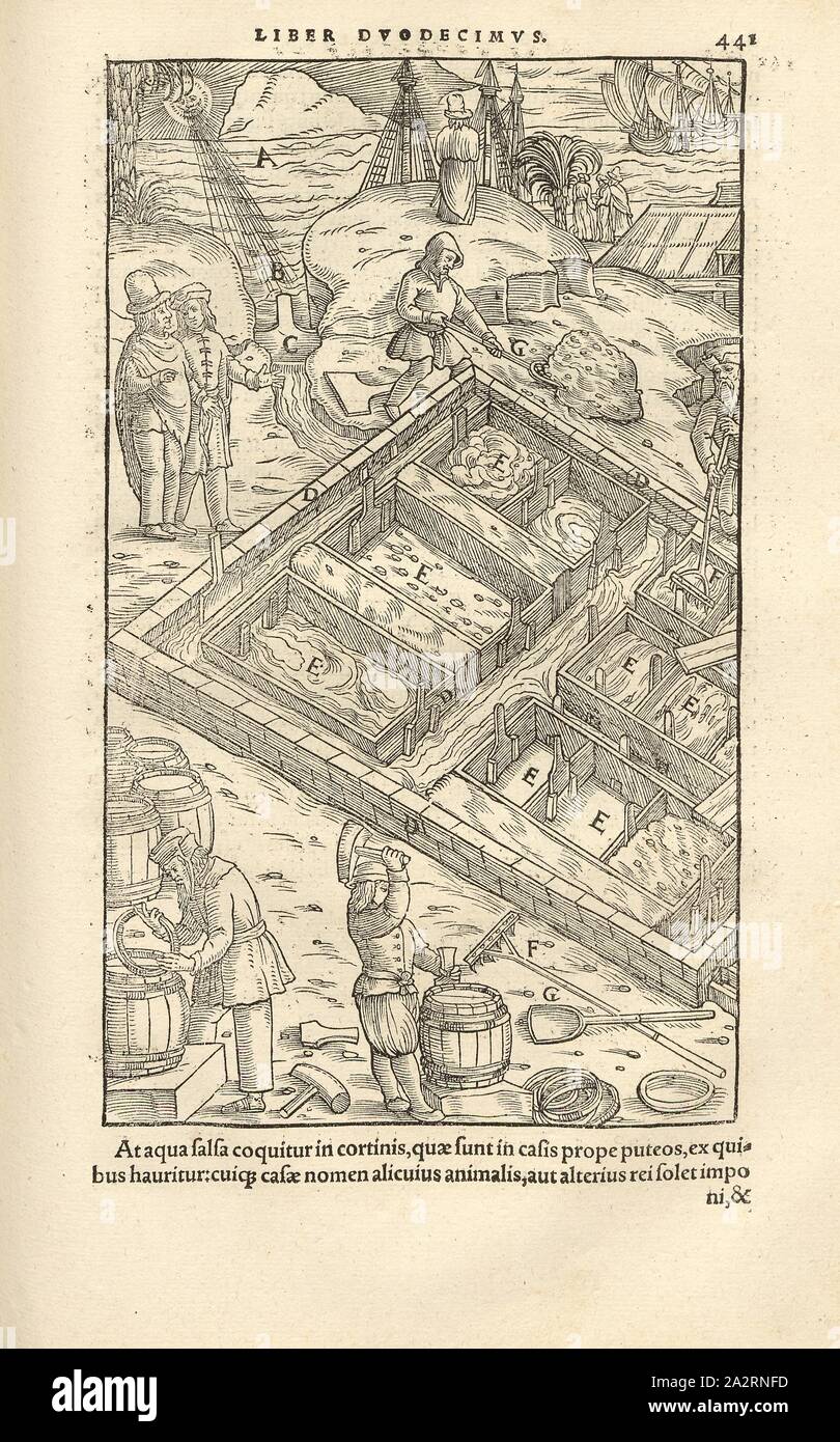 Salzgewinnung 1, sale è prodotto da acqua di mare durante la sua evaporazione nelle miniere di sale, xilografia, p. 441, (Liber duodecimus), Manuel, Hans Rudolf (graveur sur bois), 1556, Georgius Agricola: De re metallica libri XII: quibus officia, instrumenta, machinae, ac omnia denique ad metallicam spectantia, non modo luculentissime describuntur, sed & per le effigi (...). Basileae: [Froben], 1556 Foto Stock