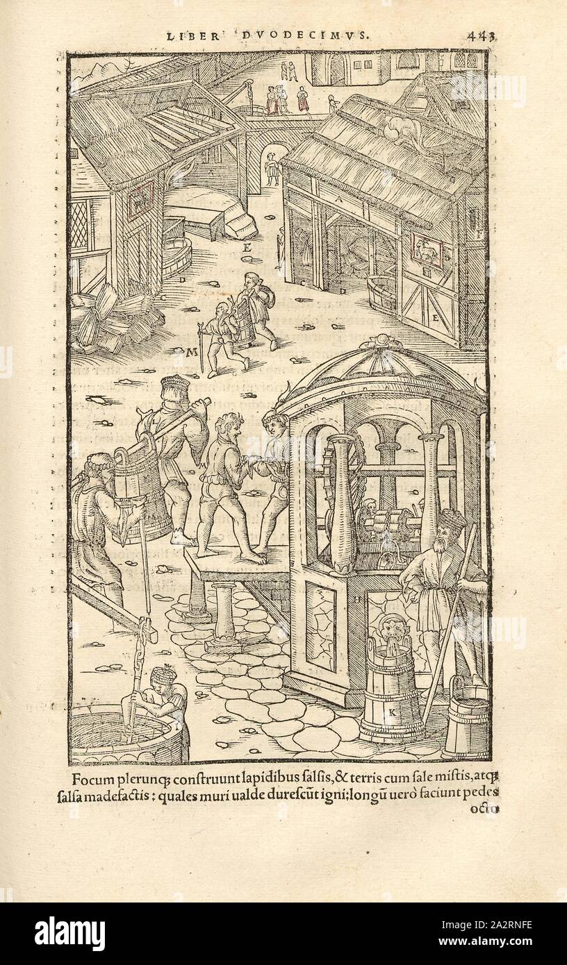 Salzgewinnung 2, acqua di sale viene bollito in padelle in brew capanne, xilografia, p. 443, (Liber duodecimus), Manuel, Hans Rudolf (graveur sur bois), 1556, Georgius Agricola: De re metallica libri XII: quibus officia, instrumenta, machinae, ac omnia denique ad metallicam spectantia, non modo luculentissime describuntur, sed & per le effigi (...). Basileae: [Froben], 1556 Foto Stock