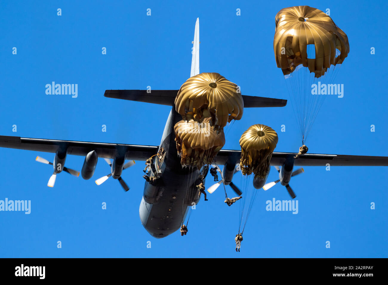 Gruppo di militari parachutist paracadutisti salta fuori di un militare di piano di trasporto. Foto Stock