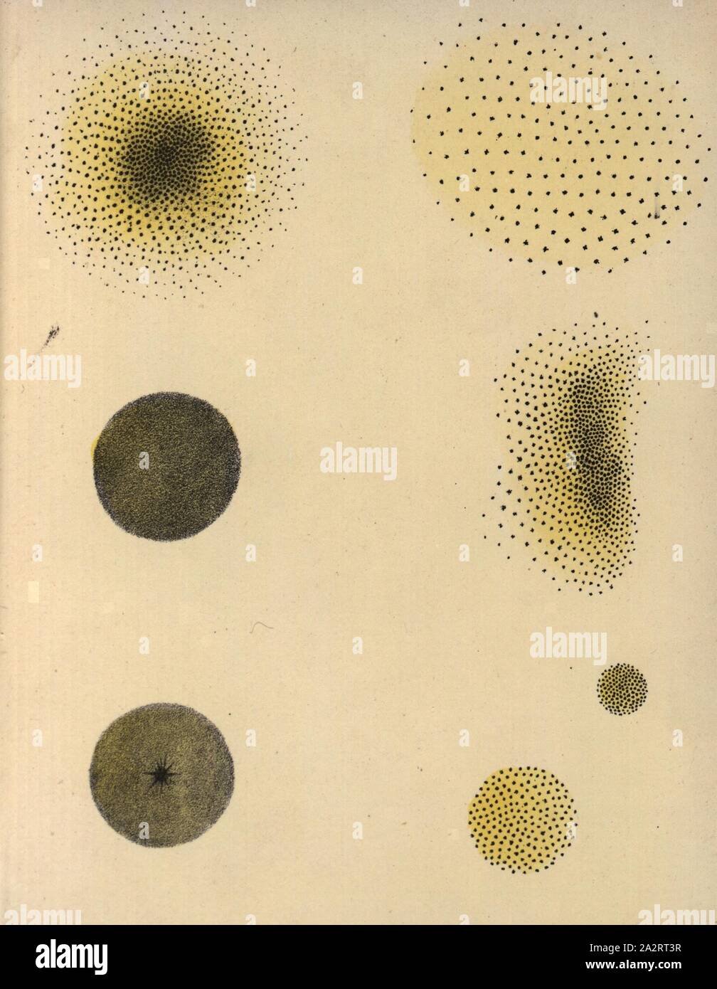 Cluster di stelle, Star cluster, no. LXXXI, dopo p. 92, 1842, Charles F. Blunt: la bellezza del cielo: una visualizzazione grafica dei fenomeni astronomici dell'universo. Un centinaio e quattro scene colorate che illustra una familiarità lezione sull'astronomia. Londra: Inclinazione e boghe, 1842 Foto Stock