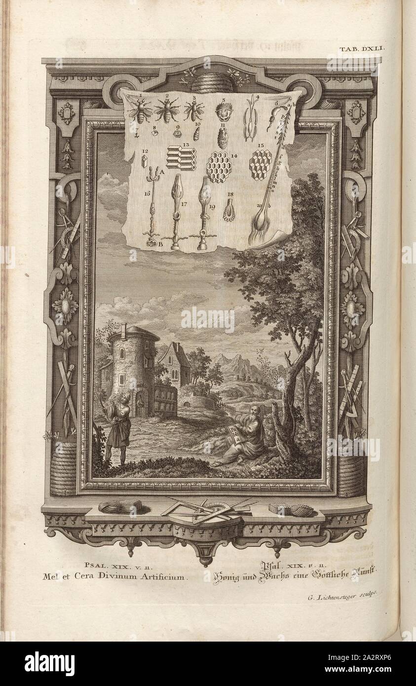 Miele e Cera Creatore divino, parallelo Titolo: Miele e Cera un arte divina, incisione su rame, piastra DXLI, Füssli, Johann Melchior; Lichtensteger, G. (sculps.), 1731, Johann Jakob Scheuchzer: Kupfer-Bibel (...). Augspurg und Ulm: gedruckt bey Christian Ulrich Wagner, 1731-1735 Foto Stock