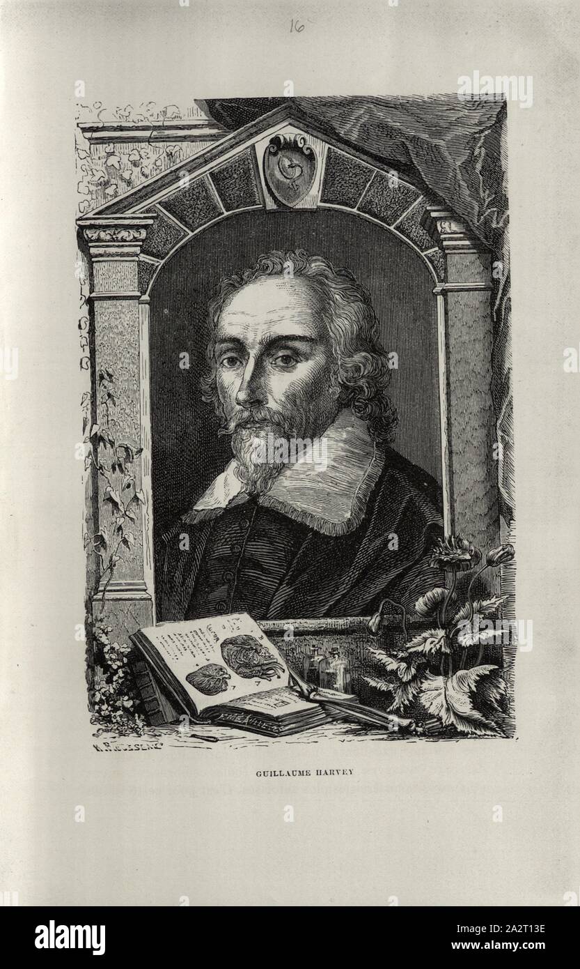 Guillaume Harvey, Ritratto di William Harvey, data apprezzato, firmato: H. Rousseau, Fig. 14, p. 281, Rousseau, H., 1869, Louis Figuier : il sistema VIES des sapienti illustres: depuis l'antiquité jusqu'au dix-neuvième siècle. Parigi: librairie internationale, 1869 Foto Stock