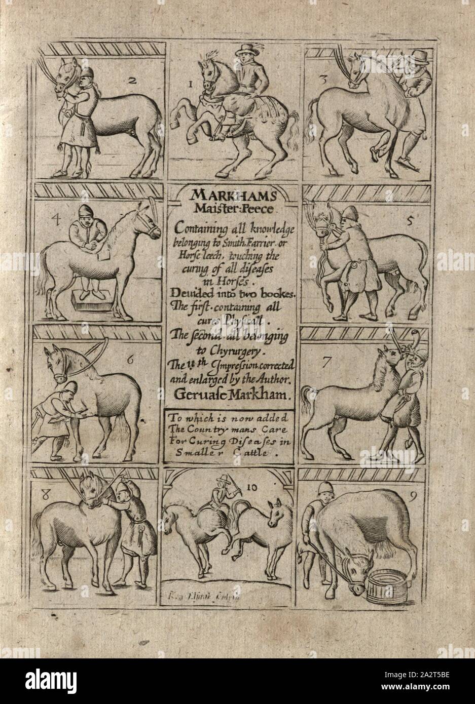 Pagina di copertina per Markham il capolavoro di persone che lavorano con i cavalli, firmato: Ren., Elstrak sculpsit, pagina titolo, Elstrak, Renold (sc.), Gervase Markham: Markham il pezzo master: contenente tutte le conoscenze appartenenti alla smith, maniscalco, oder cavallo-Leach, toccando la maturazione di tutte le affezioni dei cavalli [...]. Londra: stampate per M. Wotton e G. Conyers, 1710 Foto Stock