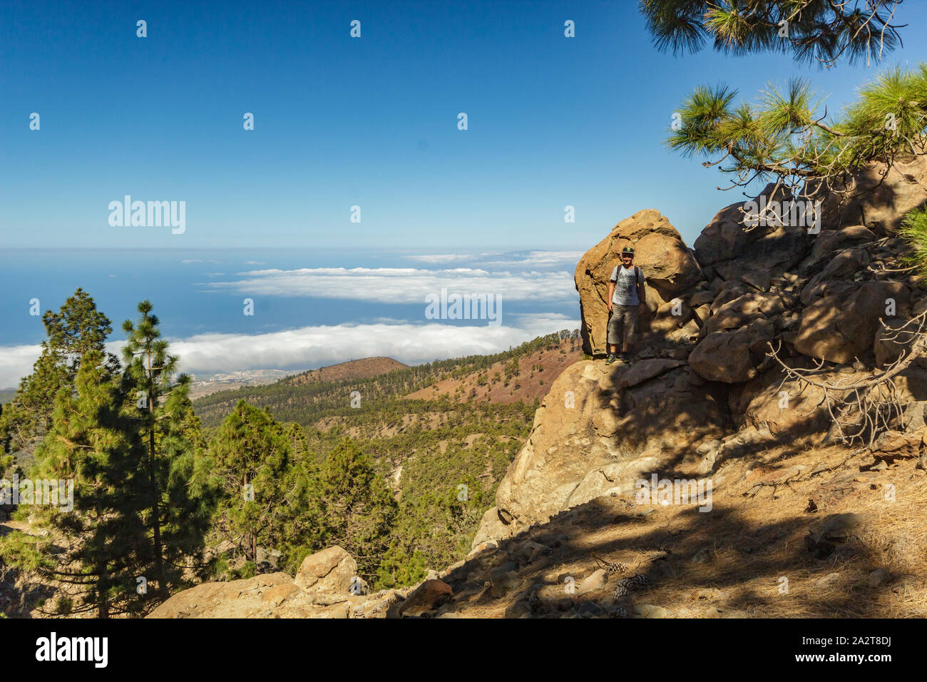 Sassoso sentiero circondato da alberi di pino a giornata di sole. Cielo blu chiaro e alcune nuvole lungo la linea di orizzonte. Tracciamento rocciose su strada asciutta in zona di montagna con Foto Stock