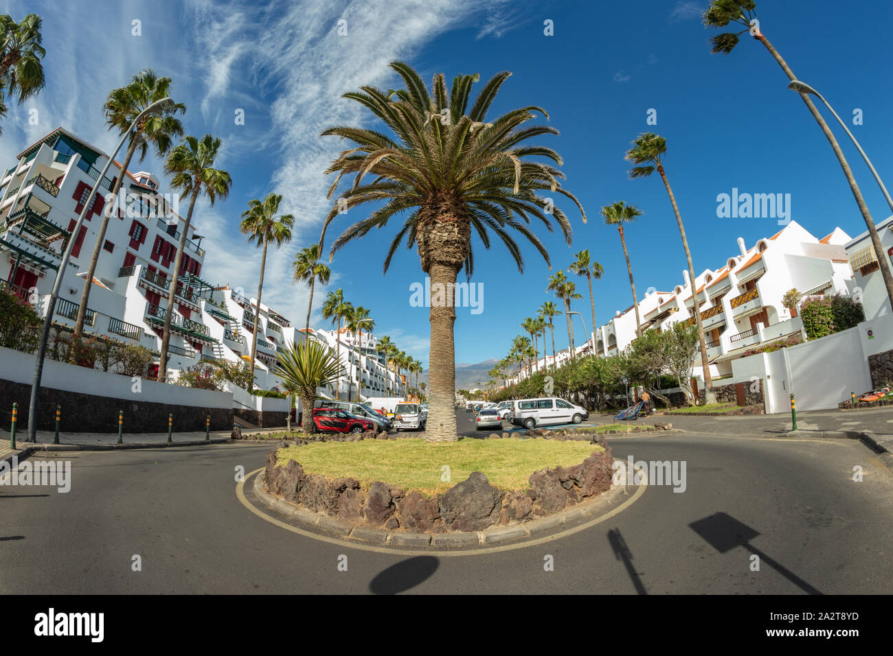 Rotonda con canarian Palm tree nel centro del villaggio turistico di Playa de las Americas. Super grandangolo vista panoramica. Chiara giornata soleggiata con ve Foto Stock