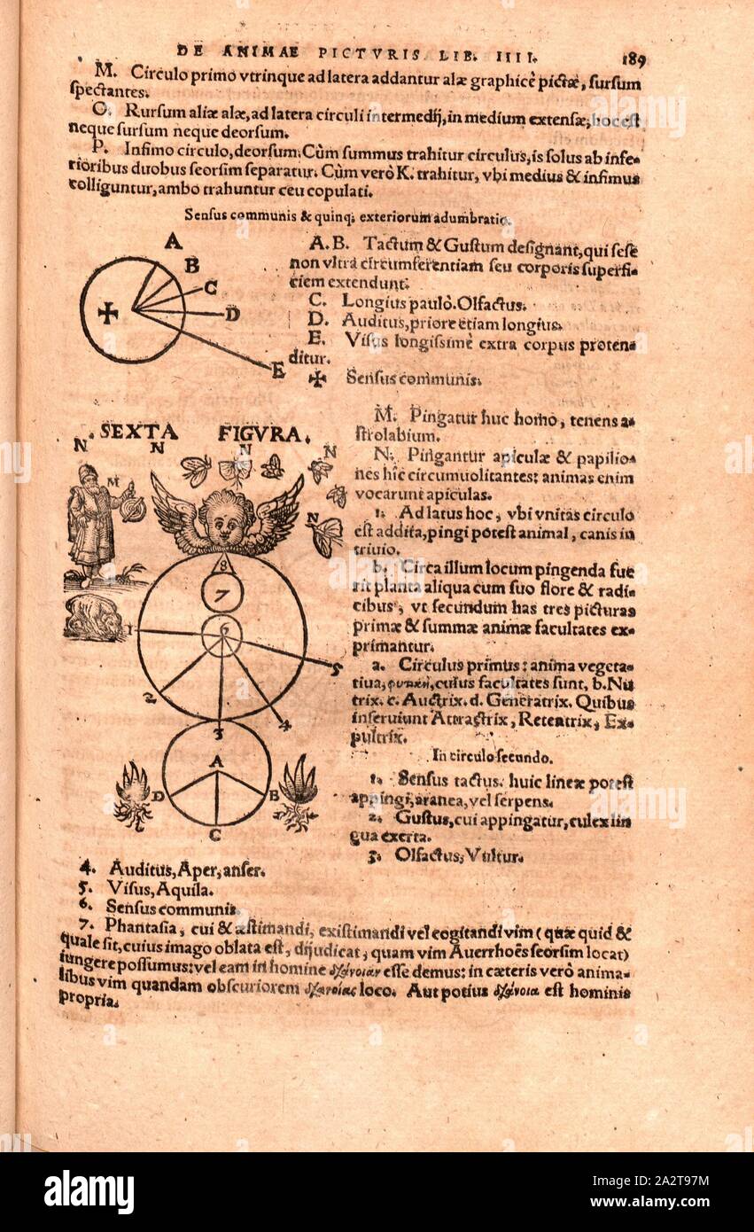 Il senso comune ..., Fig. 1. Una rappresentazione pittorica delle parti superiori dell'anima: sensus communis con i 5 sensi, Fig. 2: una rappresentazione pittorica del cerchio dell'anima vegetativa con le piante e le parti superiori dell'anima con il cane e al di sopra di una persona con astrolabio, p. 189, 1586, Konrad Gessner, Caspar Wolf: Conradi Gesneri Tigurini philosophi et medici clarissimi, physicarum meditationum, annotationum & scholiorum lib. V / nunc recens ex variis Gesnerianae diligentiae schedis relictis et libris, studiose collezione di oltre, methodice dispositi et conscripti per Casparum Wolphium. Tiguri: in Foto Stock