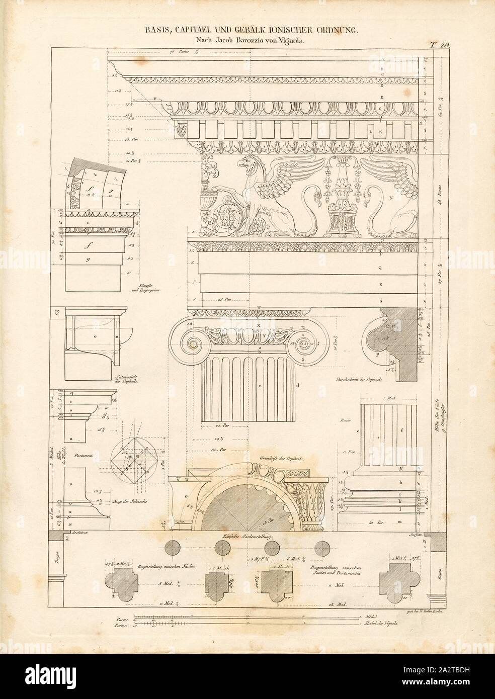 Base, Capità e travi di ordine ionico dopo Giacobbe Barozzio di Vignola, dettagli su pilastri dopo Barozzi da Vignola, firmato: morì a K. Kolbe Berlino, bar 49, dopo p. 116, Kolbe, Karl Wilhelm (sc.), Johann Matthäus von Mauch: Neue systematische Darstellung der architektonischen Ordnungen der Griechen, Römer und neuern Baumeister. Dritte Auflage. Potsdam: Verlag von Ferdinand Riegel, 1845 Foto Stock