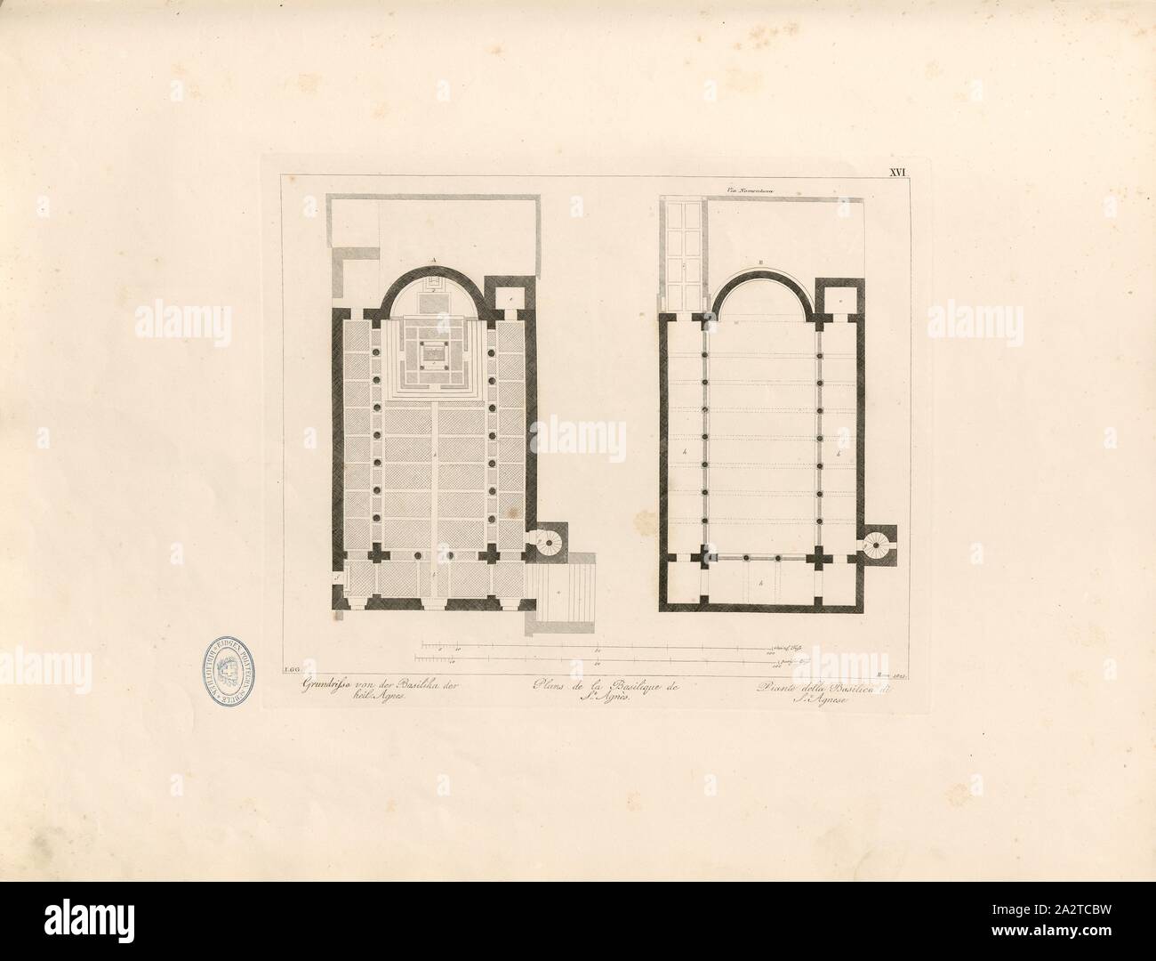 Piano di pavimento della Basilica del Santo. Agnese, piano di pavimento della chiesa di Sant'Agnese fuori le mura a Roma, firmato: I. G. G, TAF. XVI, dopo p. 6, Christian Karl Josias von Bunsen: Die Basiliken des christlichen Rom: nach ihrem Zusammenhange mit Idee und Geschichte der Kirchenbaukunst. Bd. 2. München: Literarisch-artistische Anstalt der J. G. Cotta'schen Buchhandlung, [1824 Foto Stock