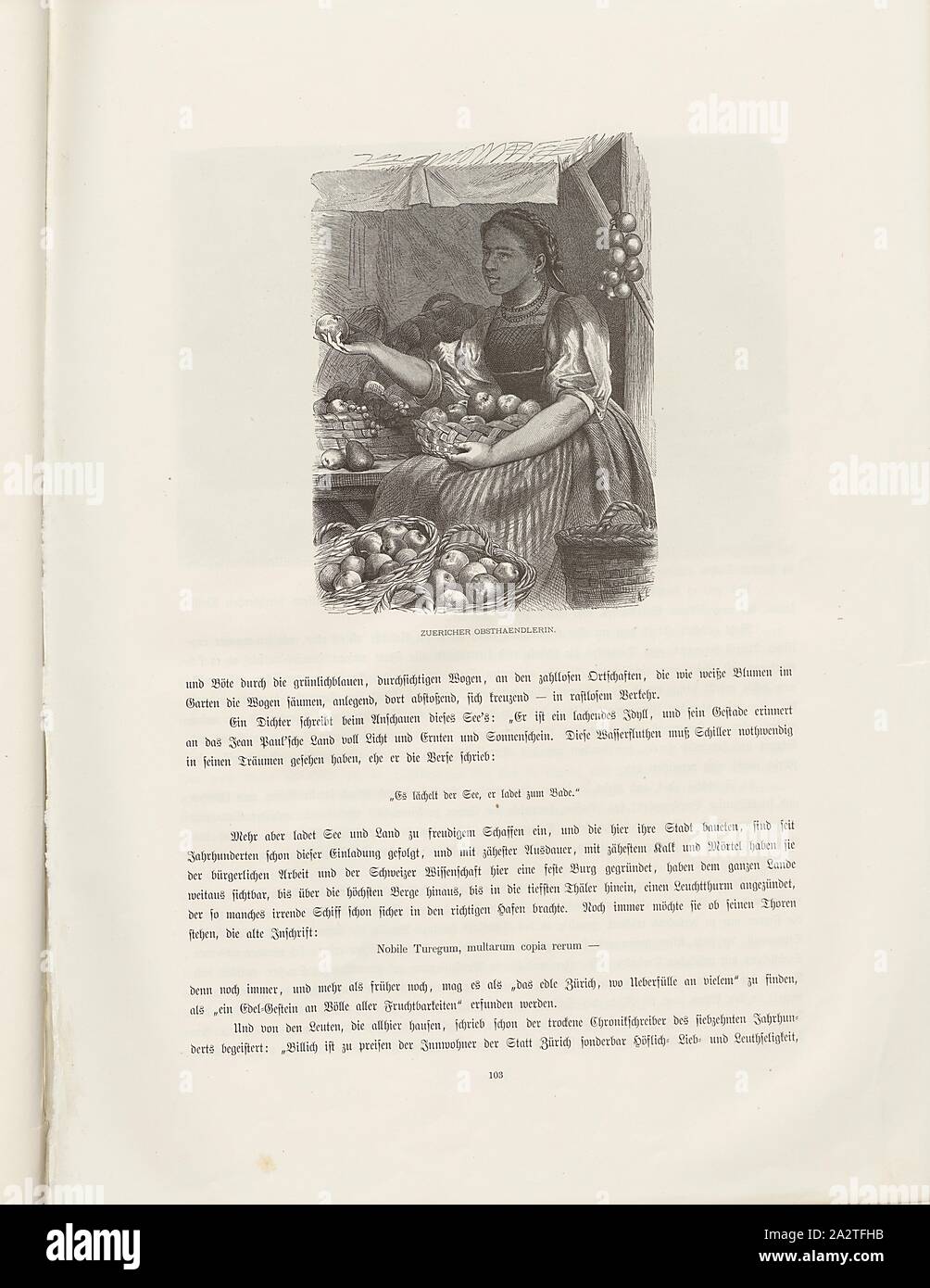 Zurigo commerciante di frutta, illustrazione di un venditore di frutta a partire dal xix secolo, Fig. 81, p. 103, Woldemar Kaden: Das Schweizerland: eine Sommerfahrt durch Gebirg und Thal. Stoccarda: Engelhorn, 1875 Foto Stock