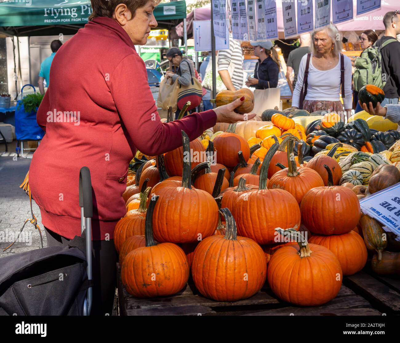 Zucche e altre zucche in vendita nell'Unione Greenmarket Square a New York sabato 28 settembre, 2019. (© Richard B. Levine) Foto Stock