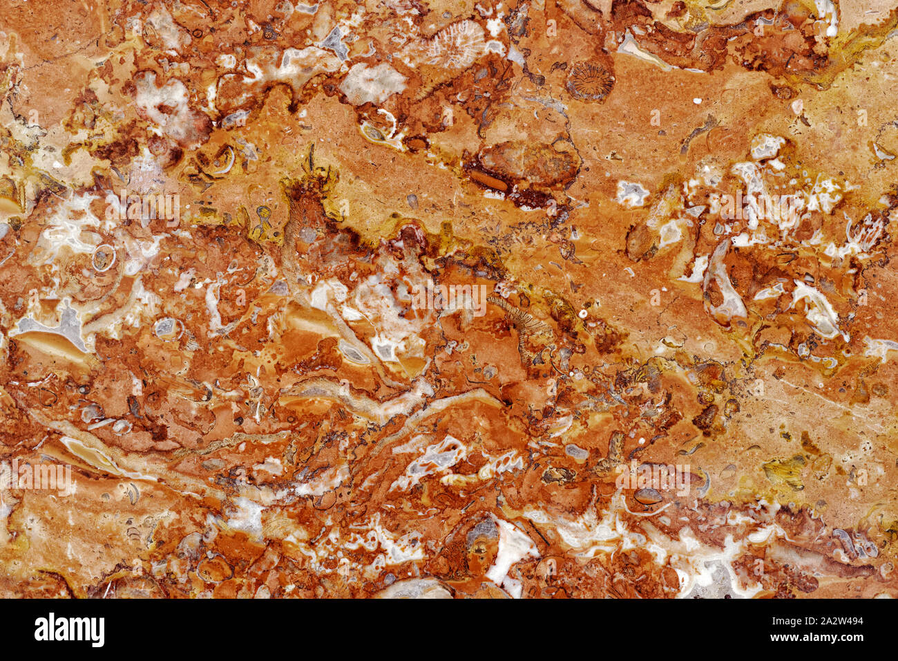 Gli sfondi e texture: superficie di un bel colore arancione decorativi in pietra, configurazione astratta di crepe, macchie e macchie e sfondo naturale Foto Stock