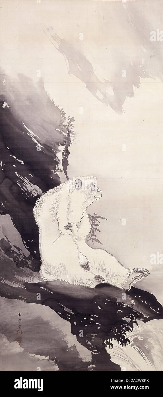 White Monkey, Kawabata Gyokushō (giapponese, 1842-1913), Meiji, circa 1880, inchiostro su seta, 49 x 21-1/2 in. (Immagine) 89 x 30-3/4 in. (Generale), firmato: Gyokusho sha guarnizione: Gyokusho Guarnizione: azana iwaku Shibun, Arte Asiatica Foto Stock
