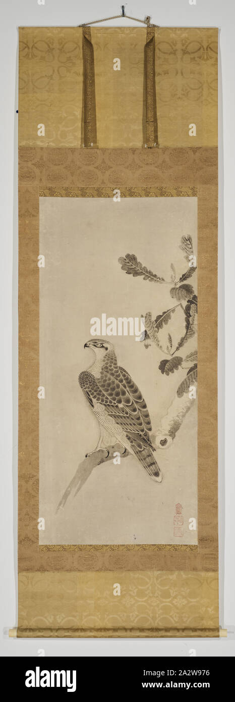 Hawk appollaiato su un ramo, Soga Nichokuan (giapponese), Edo, inizio del XVII secolo, inchiostro su carta, 43-1/8 x 19-3/4 in. (Immagine) 77-1/2 x 27 x 1-7/8 in. (Come installato), (dalla sommità al fondo) guarnizione della valvola di sicurezza: Soga guarnizione della valvola di sicurezza: Nichokuan guarnizione della valvola di sicurezza: Ni-in, Arte Asiatica Foto Stock