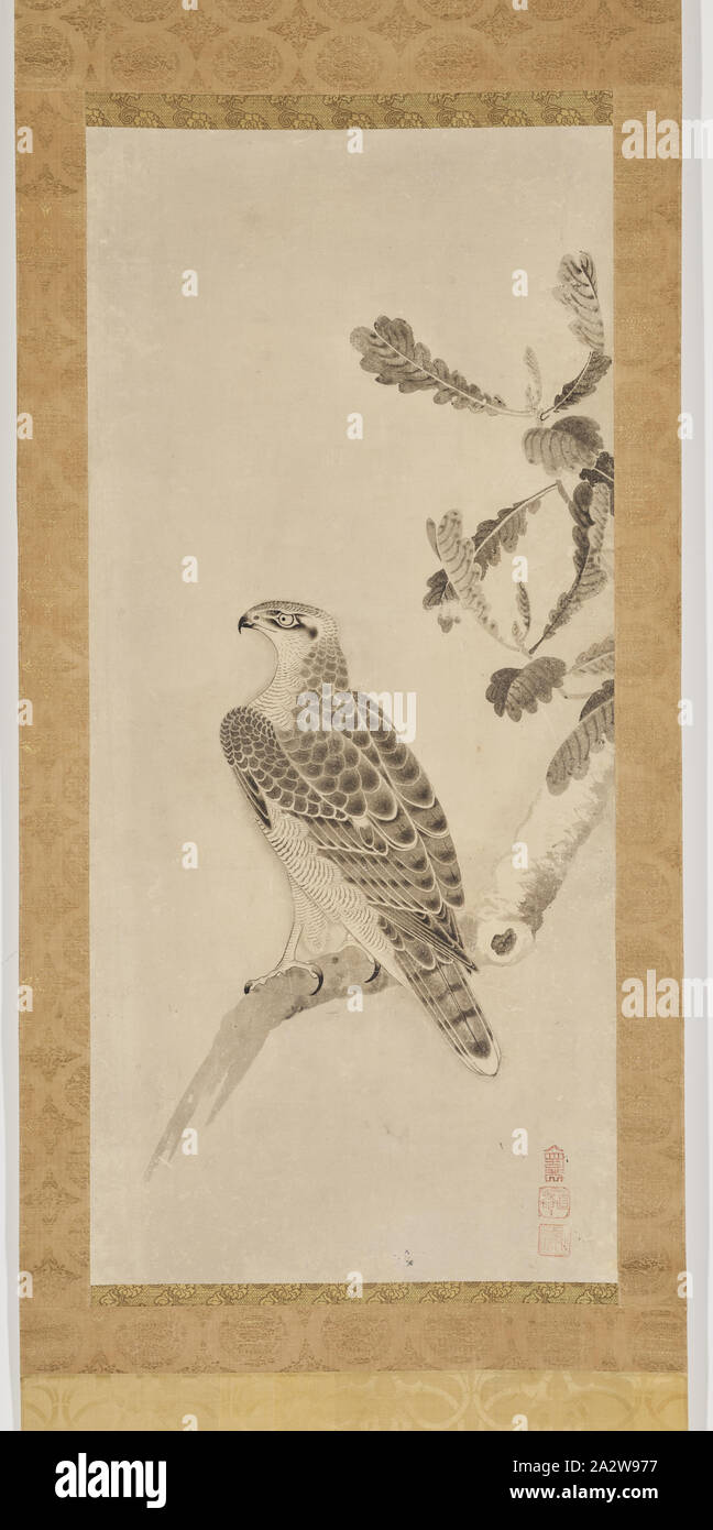 Hawk appollaiato su un ramo, Soga Nichokuan (giapponese), Edo, inizio del XVII secolo, inchiostro su carta, 43-1/8 x 19-3/4 in. (Immagine) 77-1/2 x 27 x 1-7/8 in. (Come installato), (dalla sommità al fondo) guarnizione della valvola di sicurezza: Soga guarnizione della valvola di sicurezza: Nichokuan guarnizione della valvola di sicurezza: Ni-in, Arte Asiatica Foto Stock