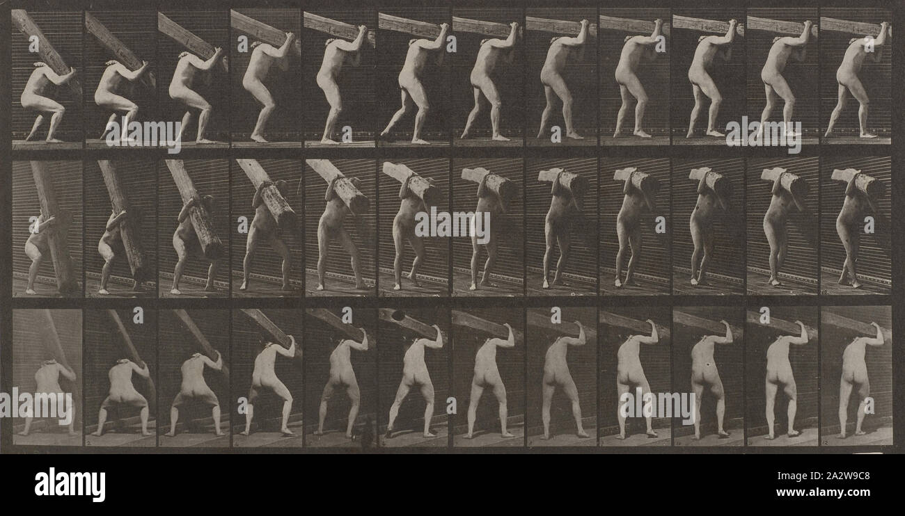 L'uomo trave di sollevamento: piastra 383, Eadweard Muybridge (British, 1830-1904), 1887, inchiostro su carta, collotipia, 7-1/2 x 14-3/4 in. (Immagine) 19 x 22-7/8 in. (Foglio), serie di Locomozione animale Foto Stock