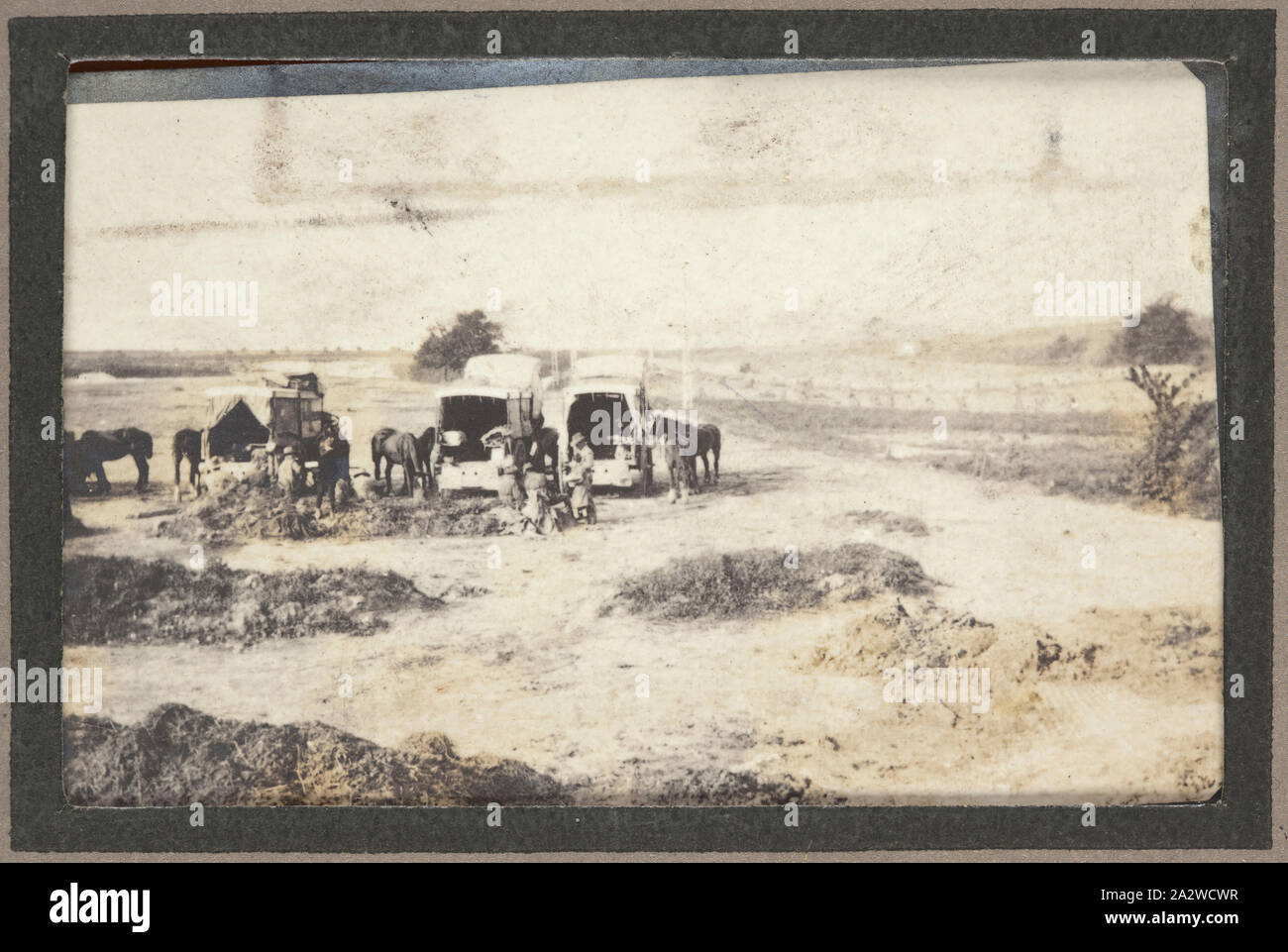 Fotografia - Ambulance Drivers & cavalli a riposo, Francia, sergente John Lord, guerra mondiale I, 1916-1917, stampa fotografica in bianco e nero che mostra un gruppo di piloti in ambulanza e i loro cavalli a riposo in un campo. I cavalli sono di vitale importanza per il funzionamento delle squadre mediche con circa 66 cavalli la manutenzione di ciascun campo ambulanza. I driver di ambulanza e campo ospedali veterinari sono stati richiesti per la cura per i cavalli sul fronte occidentale, fornendo loro le razioni di cibo Foto Stock