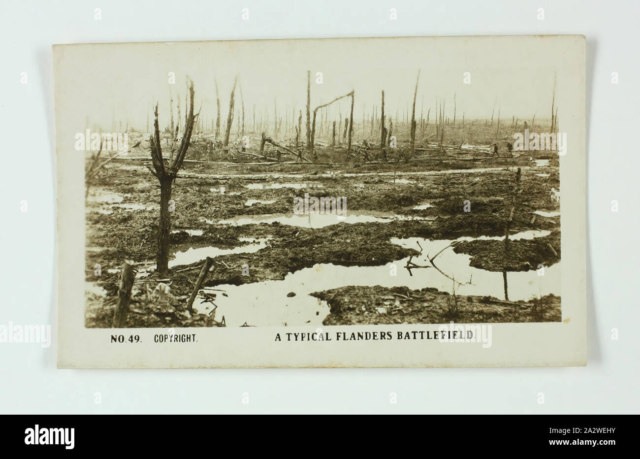 Carta di sigaretta - 'un tipico campo di battaglia delle Fiandre", ufficiale I Guerra Mondiale fotografia, gazza sigarette, circa 1922, n. 49 nella serie della I Guerra Mondiale schede di sigarette prodotte da Gazza sigarette. L'immagine è intitolata 'Un tipico campo di battaglia delle Fiandre". Esso raffigura un campo fangoso con pozzanghere di acqua in tutto e un sacco di alberi morti. Le immagini di questa serie di schede di sigarette sono ufficiali I Guerra Mondiale le fotografie che sono state visualizzate in Australian War Museum, Exhibition Buildings, Melbourne Foto Stock
