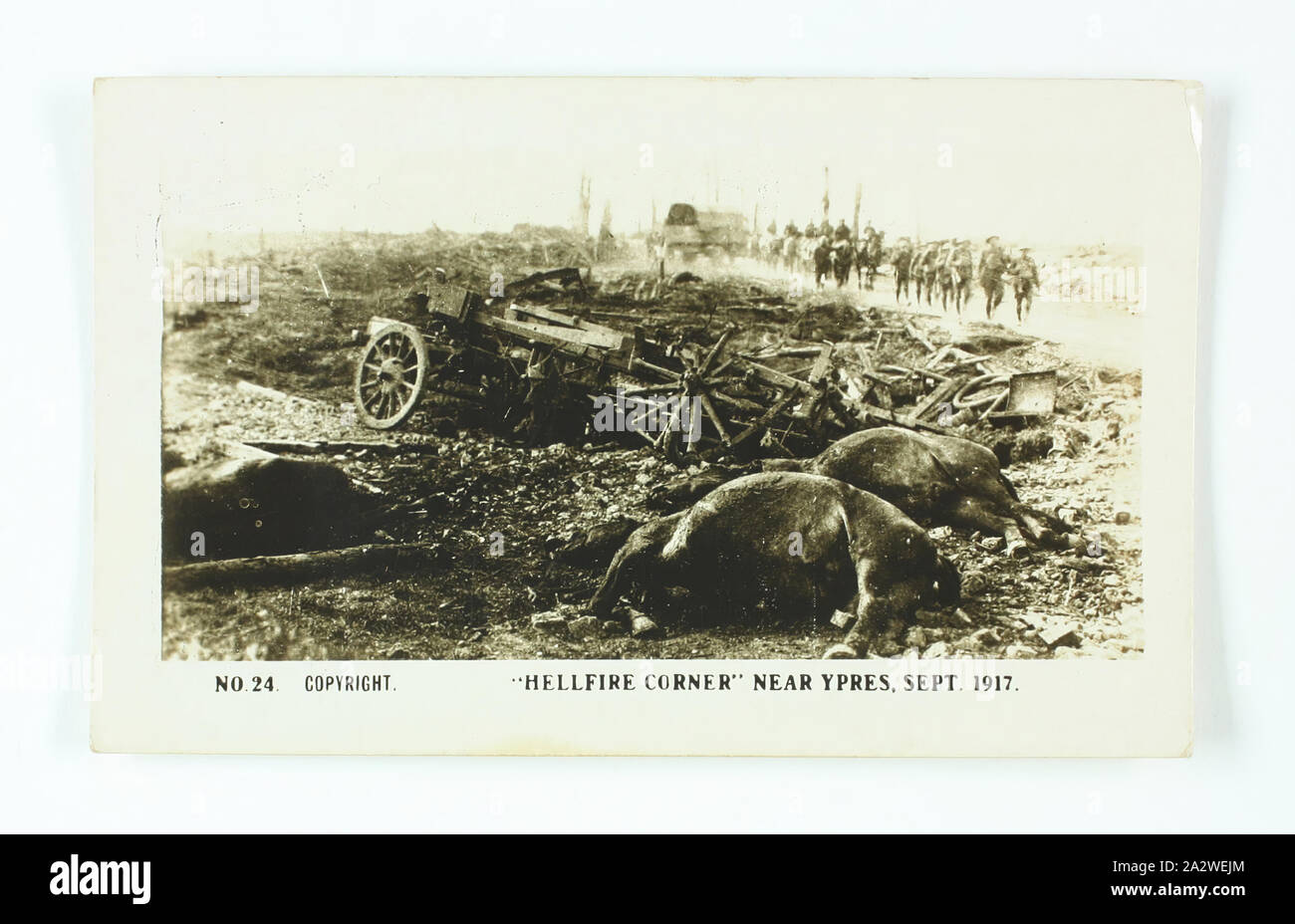 Carta di sigaretta - 'Hellfire Corner vicino a Ypres, Sett. 1917', ufficiale I Guerra Mondiale fotografia, gazza sigarette, circa 1922, n. 24 nella serie della I Guerra Mondiale schede di sigarette prodotte da Gazza sigarette. L'immagine è intitolata 'Hellfire angolo vicino Ypres, Sett. 1917'. Esso raffigura due morti cavalli, carri distrutti e di soldati che marciano in background. Le immagini di questa serie di schede di sigarette sono ufficiali I Guerra Mondiale le fotografie che sono state visualizzate in Australian War Museum, Exhibition Buildings, Melbourne Foto Stock