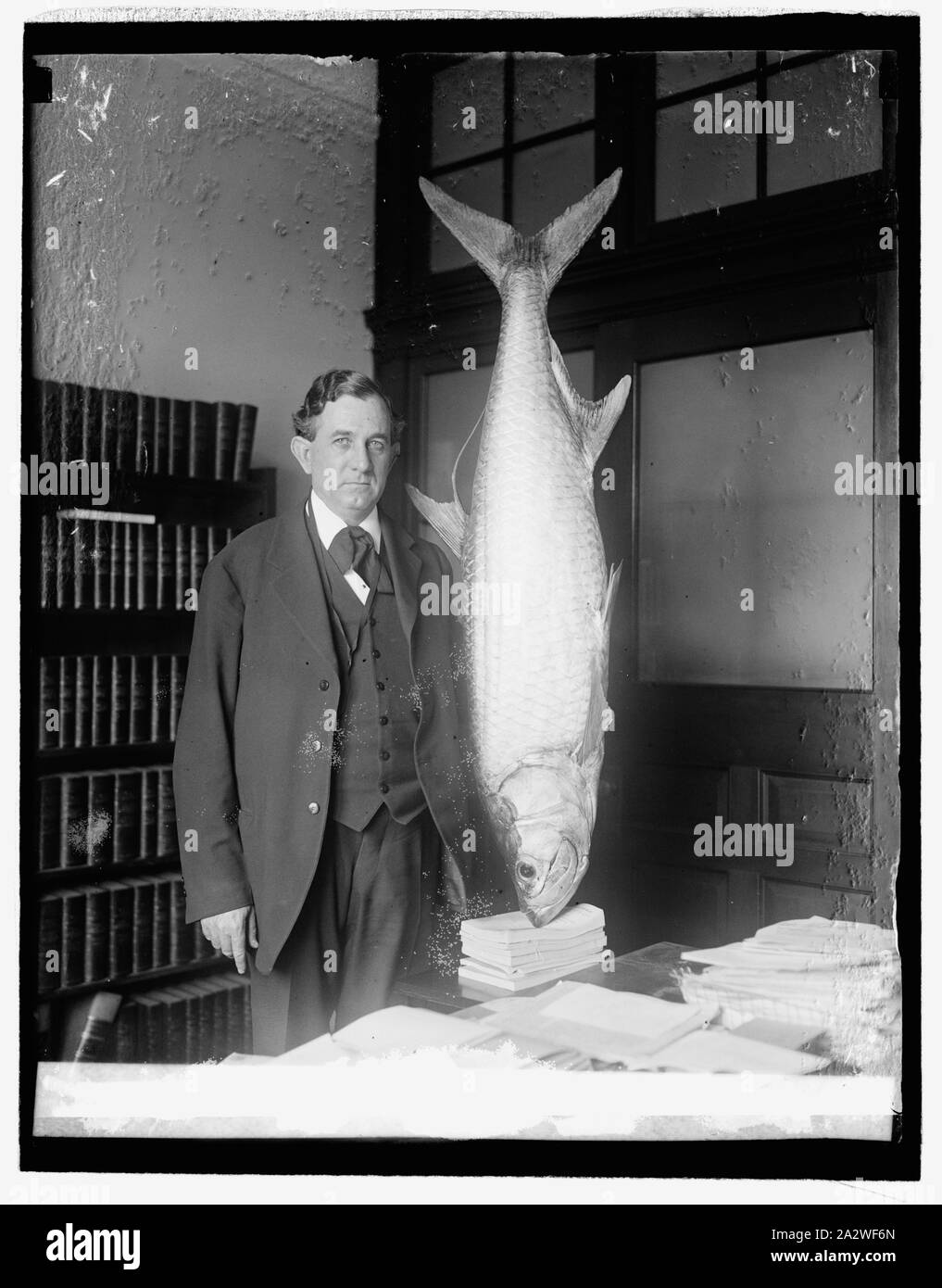 Sost. Tom Connally & pesce, 4/9/26 Foto Stock