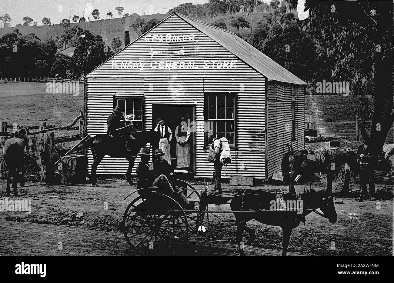 Negativo - Ensay, Victoria, circa 1915, un gruppo di fronte alla Ensay General Store. Il gruppo include un swagman, packhorse, un uomo a cavallo e un cavallo e buggy Foto Stock