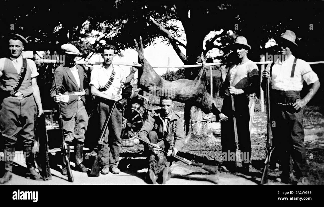 Negativo - Toora, Victoria, 1918, un gruppo di uomini con i fucili a canna liscia e nastri a cartuccia tenendo in mano un cervo infilati su un palo Foto Stock