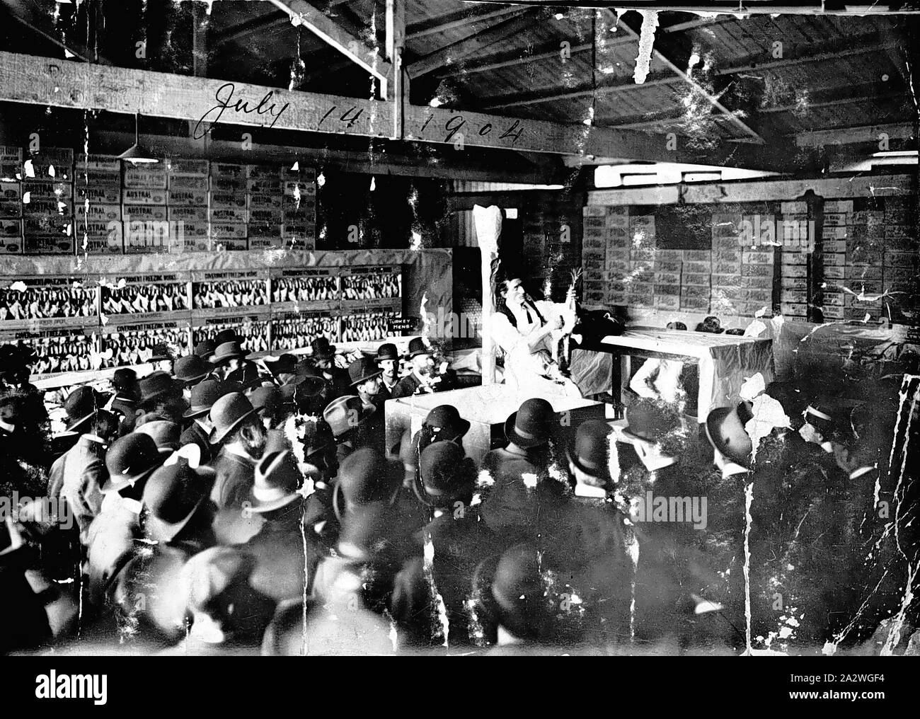 Negativo - Melbourne, Victoria, Lug 1904, una folla guarda una dimostrazione della medicazione di pollame Foto Stock