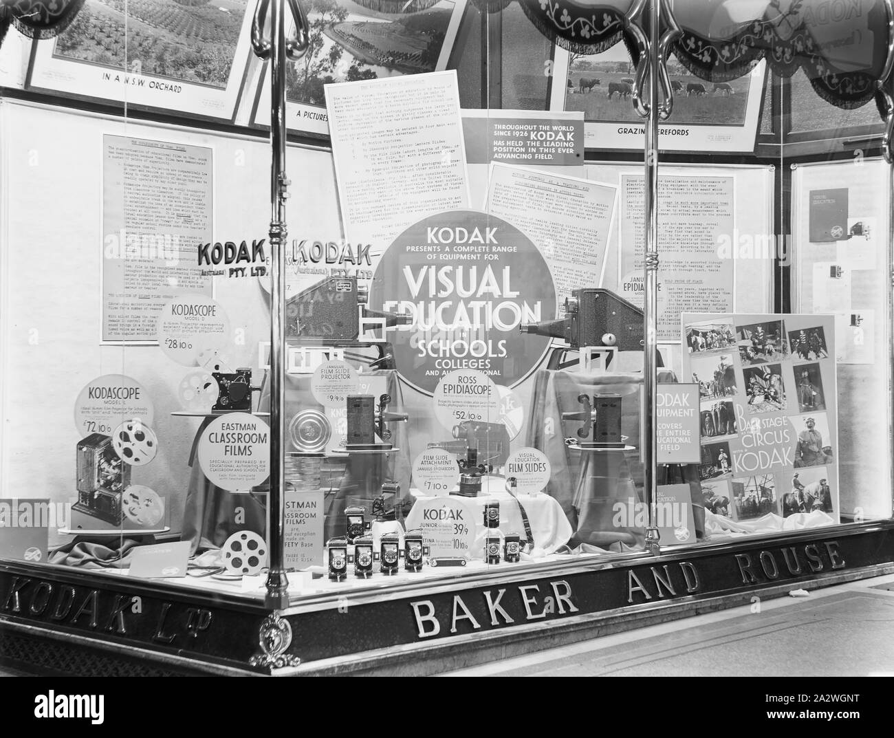 Negativo di vetro, Shopfront Display, "Kodak Visual Istruzione', George St, Sydney, 1933-1938, bianco e nero, 1/4 di lastra di vetro negativo del display shopfront a Sydney la filiale Kodak a 379-381 George Street, circa 1933-1938. La promozione è per Kodak Visual istruzione in scuole e collegi, e ci sono alcuni prodotti come il modello Kodascope D E L proiettori, un Ross Epidiascope e Kodak slitta accessori. raccolta dei prodotti, promozionali Foto Stock