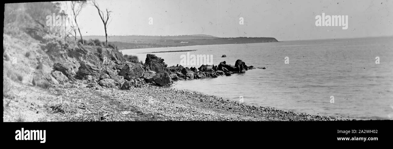 Lantern Slide - spiaggia fossile, Flinders Rock, Victoria, circa 1910, in bianco e nero lantern slide di spiaggia fossile, Flinders Rock, Victoria fotografata da A.J. Campbell. Questo è uno di una grande collezione di immagini prese da Archibald James Campbell detenute nel A.J. Campbell raccolta dal Museo Victoria Foto Stock