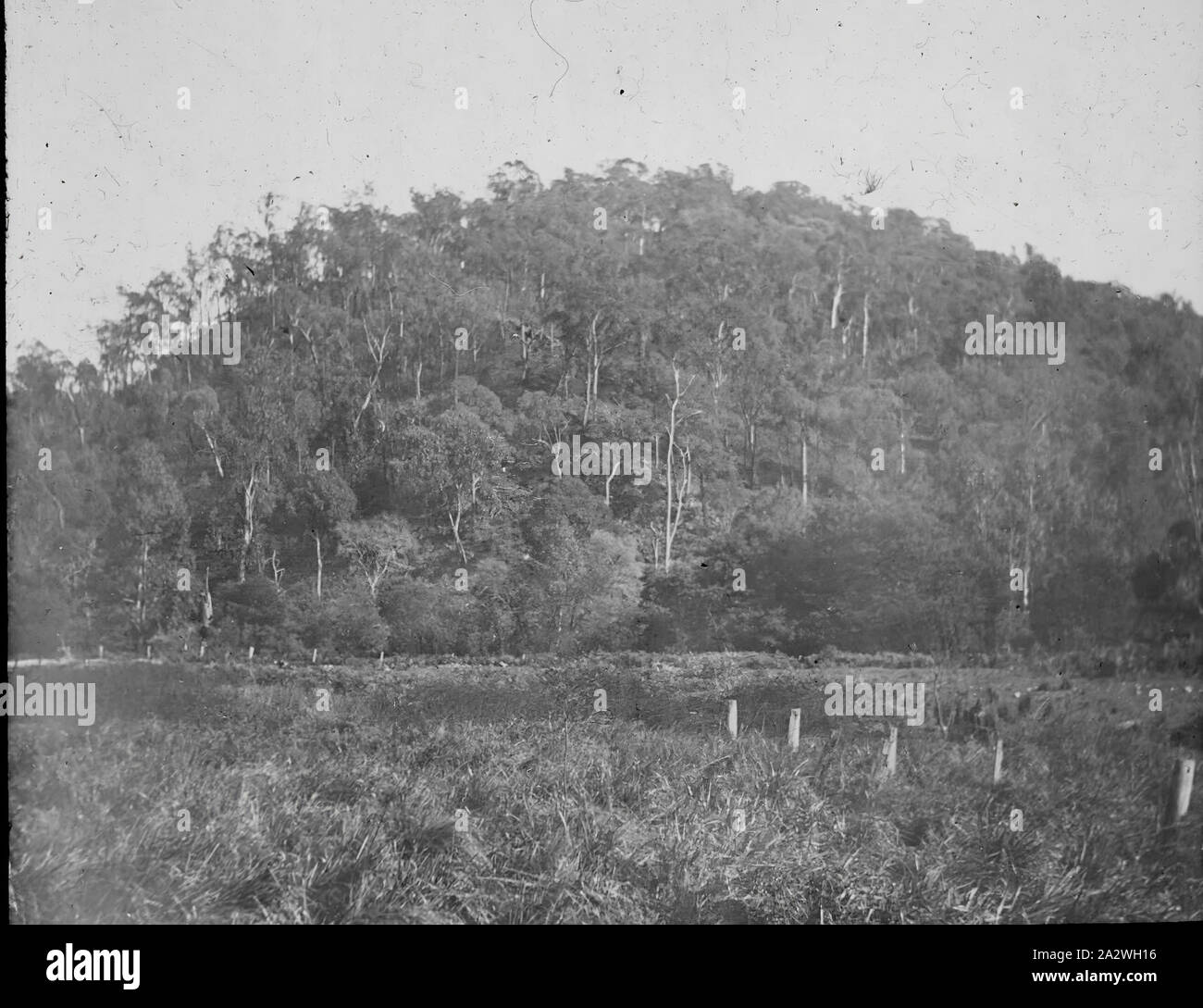 Lantern Slide - Killara appartamenti, Woori Yallock, Victoria, data sconosciuta, immagine in bianco e nero del Killara appartamenti nella Woori Yallock, Victoria fotografata da A.J. Campbell. La lanterna in vetro scorrevole è uno dei molti nel A.J. Campbell raccolta conservata dal Museo Victoria Foto Stock