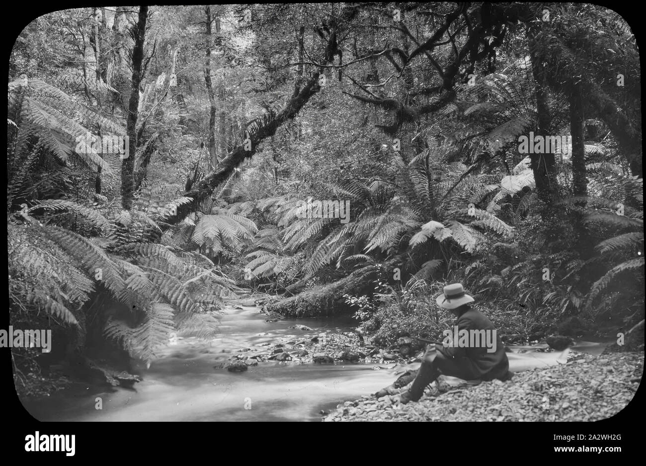 Lantern Slide - A.G. Campbell, superiore sul Fiume Yarra, Victoria, 1904-1907, immagine in bianco e nero di Archibald George Campbell seduto sulla banca di un flusso in alto Yarra regione di Victoria, fotografata da suo padre A.J. Campbell. Uno dei tanti formante la A.J. Campbell raccolta conservata dal Museo Victoria Foto Stock