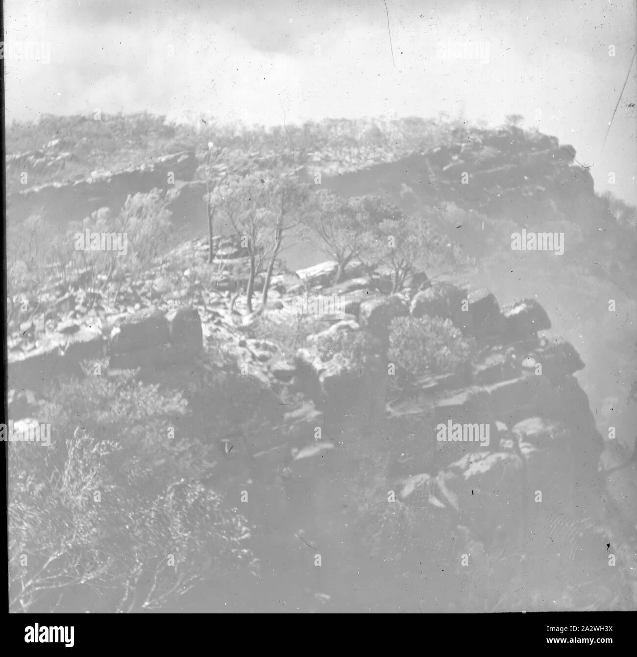 Lantern Slide - Mt William, Grampians, Victoria, data sconosciuta, immagine in bianco e nero di Mt William nel Grampians di Victoria, fotografata da A.J. Campbell. Uno dei tanti formante la A.J. Campbell raccolta conservata dal Museo Victoria Foto Stock